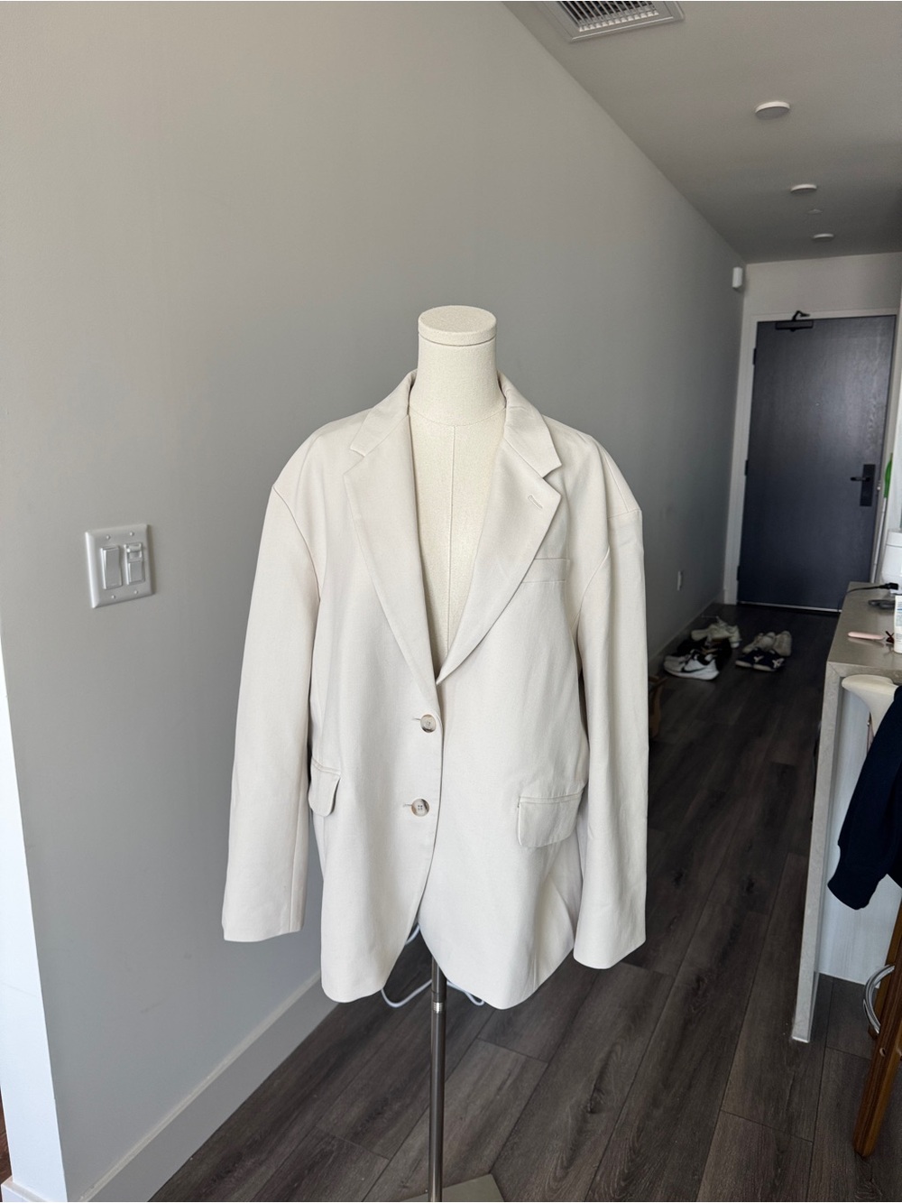 Aritzia Vogue Oversized Blazer
